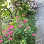 Διαμέρισμα With Parking Space Gradac, Makarska - 6724