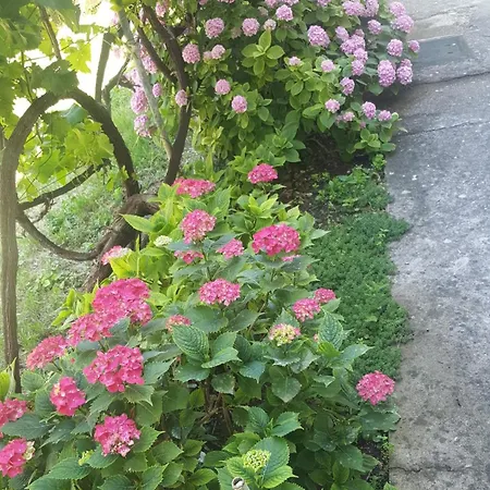 Apartament With Parking Space Gradac, Makarska - 6724